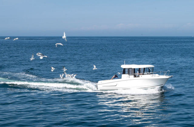 Northwind Sentinel 33
