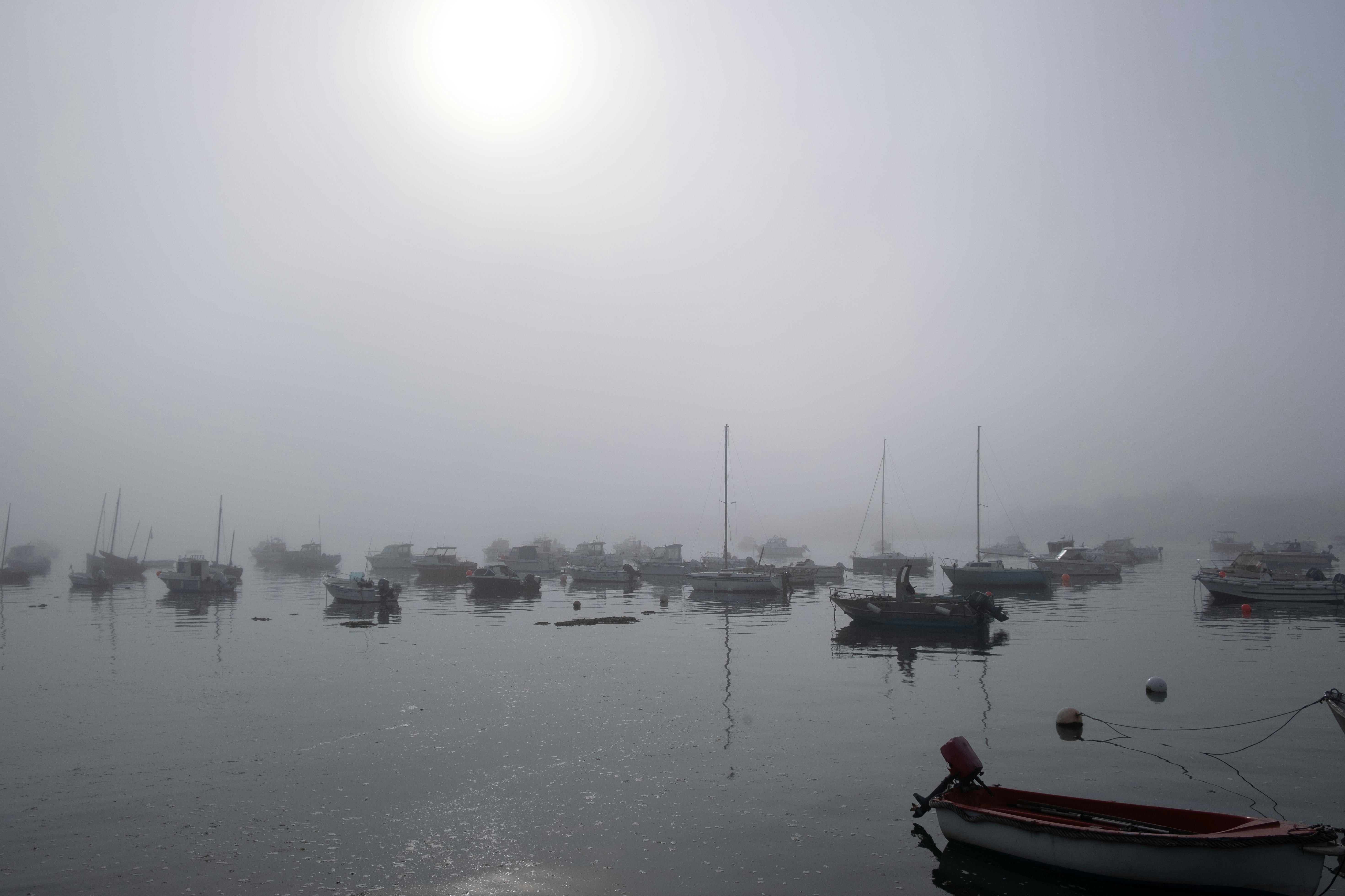 A harbour of moored boats in the mist at first light